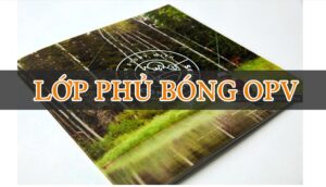 lớp phủ bóng OPV