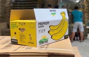 keo dán thùng chuối